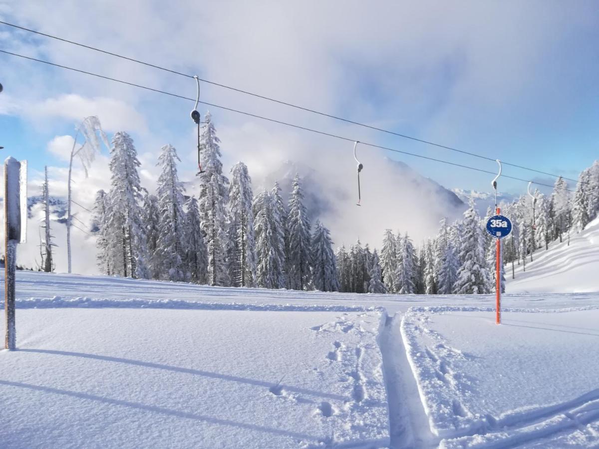 Apartment Alpenpanorama Goldegg Bagian luar foto