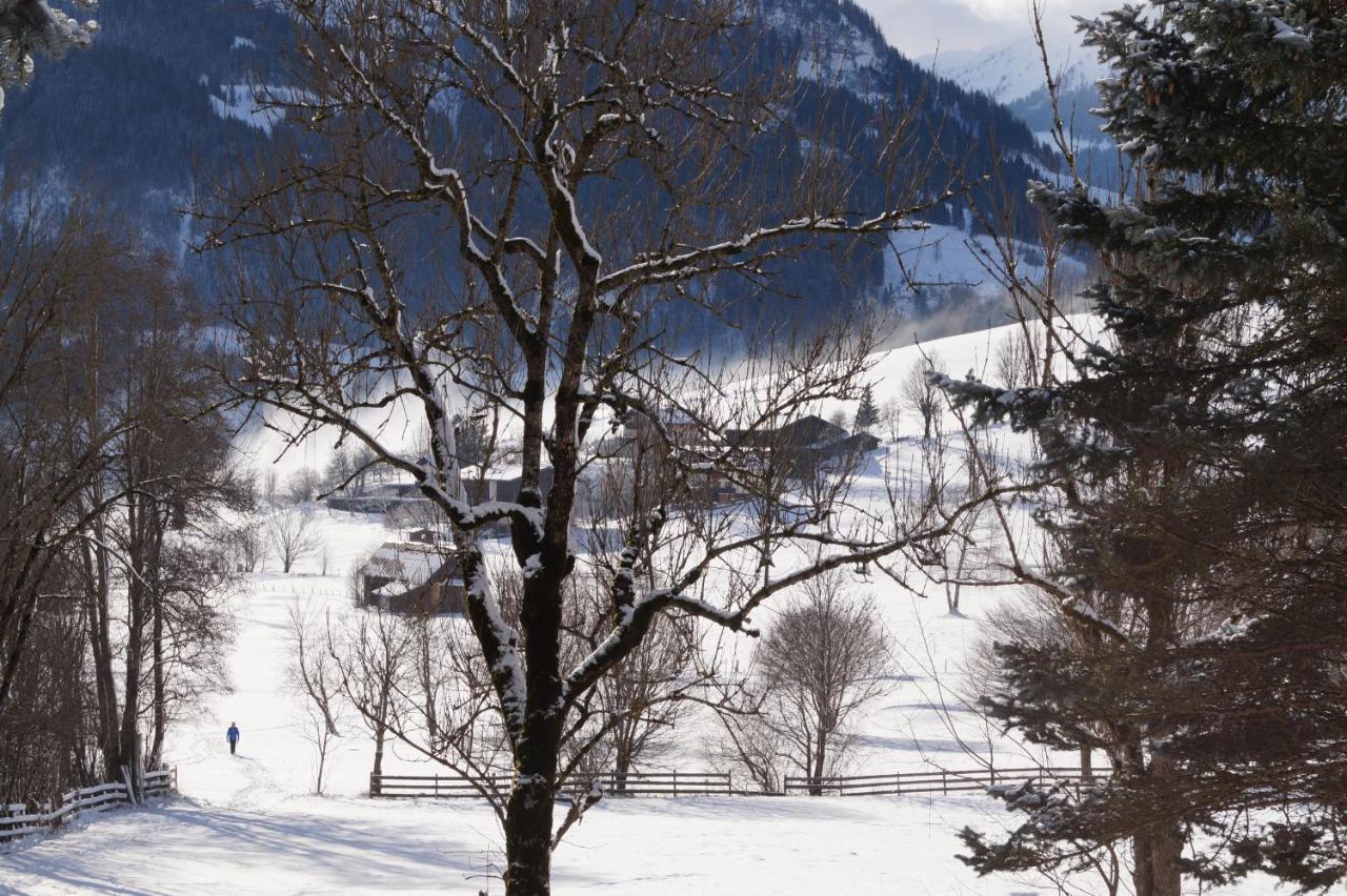 Apartment Alpenpanorama Goldegg Bagian luar foto