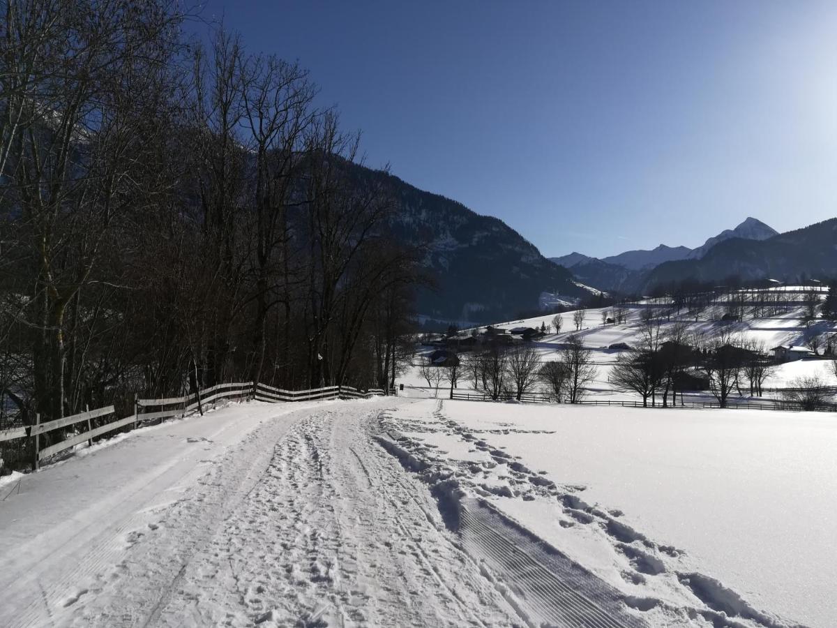 Apartment Alpenpanorama Goldegg Bagian luar foto