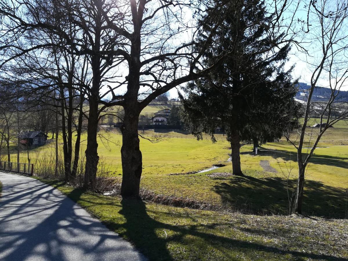 Apartment Alpenpanorama Goldegg Bagian luar foto